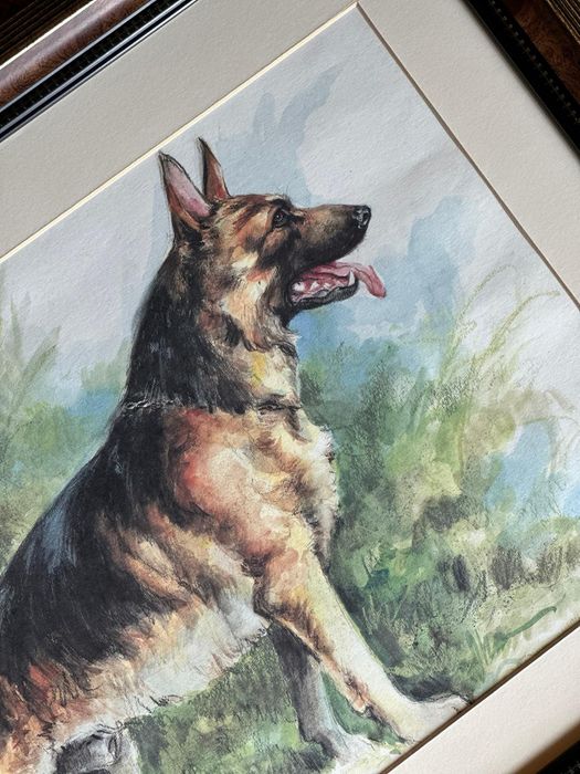 Pintura cão raça pastor alemão