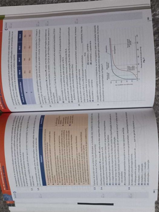 Testes e Exame - Biologia e Geologia - 11ºano