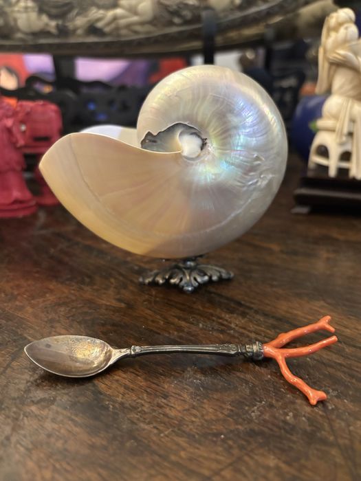 Açurareiro nautilus com colher prata e coral vermelho