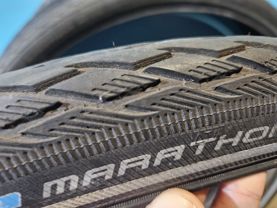 Continental contact plus  Schwalbe Kenda