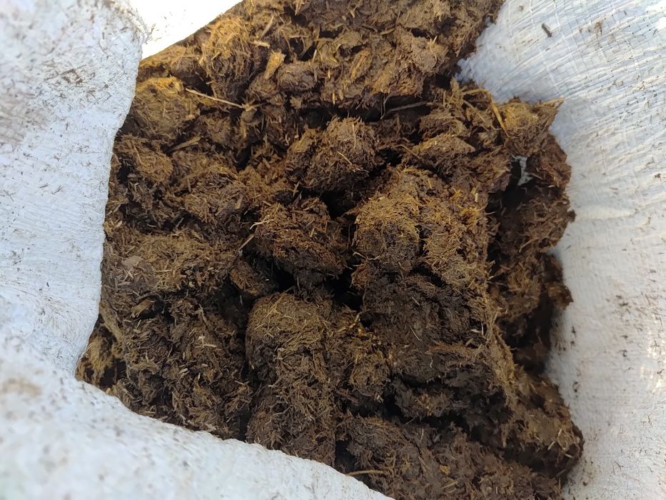 Naturalny czysty obornik koński workowany