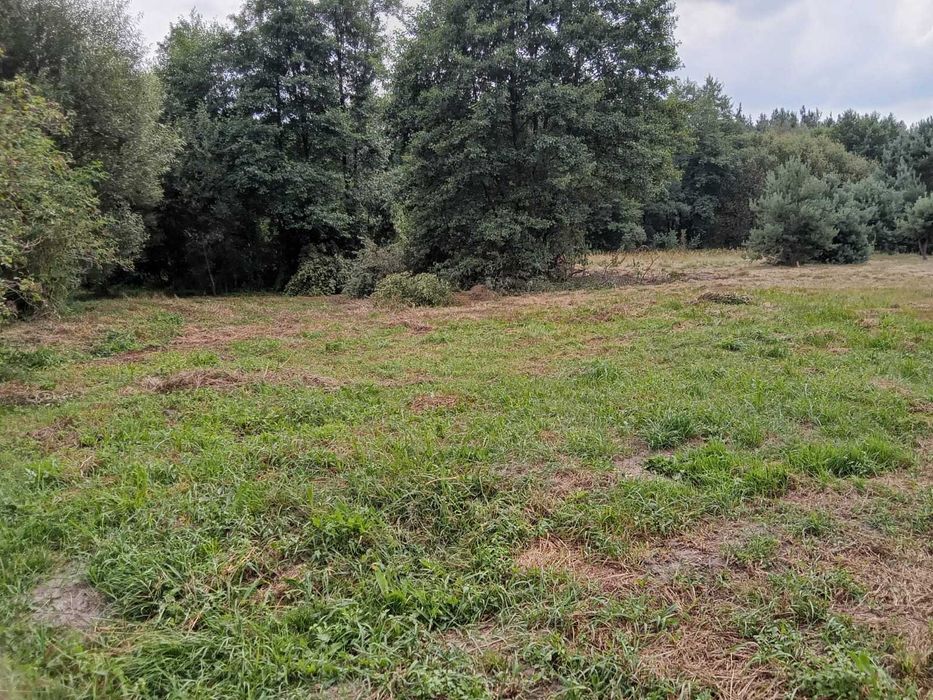 Działka budowlana Chruścice 28-400 Pińczów, świętokrzyskie - Widok 6