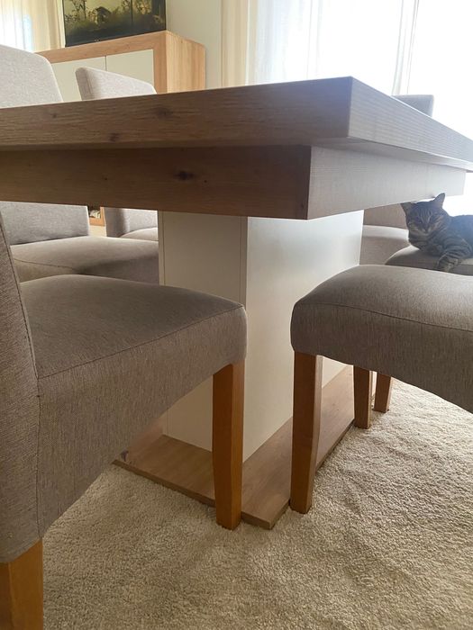 Conjunto Mesa e Cadeiras