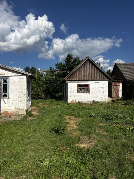 Продам хату в селі з господарськими будівлями та земельною ділянкою