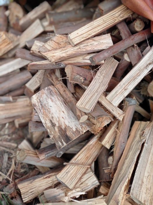 Eucalipto para venda