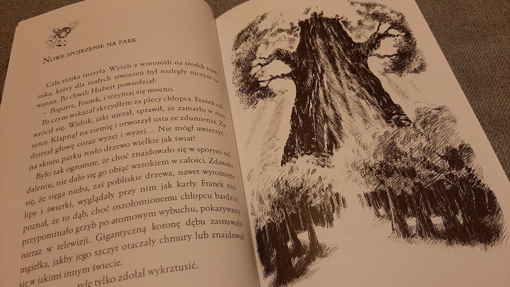 Franek i duch drzewa Lech Zaciura il Alicja Rybicka Wydawnictwo Skrzat