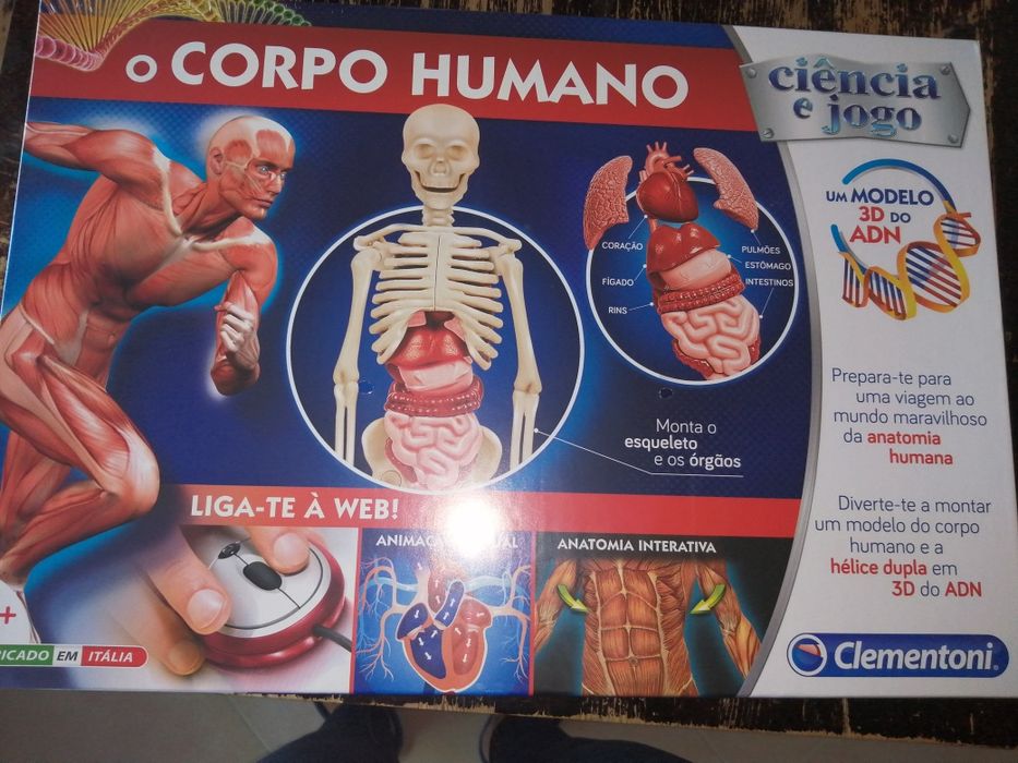 Jogo O corpo humano