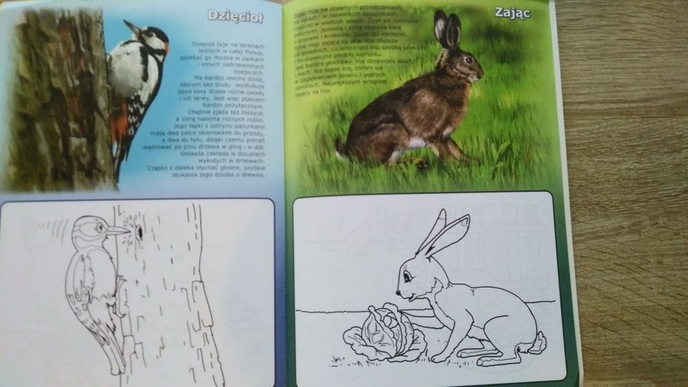 Zestaw-Łamigłówki i kolorowanka dla dzieci 6+NOWE