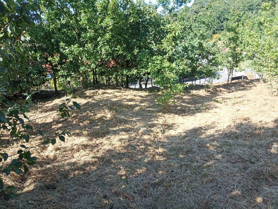 Terreno de 1000m2 Urbanizável