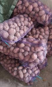 Картопля, Белла Роса , Мелоді , Домашня картопля