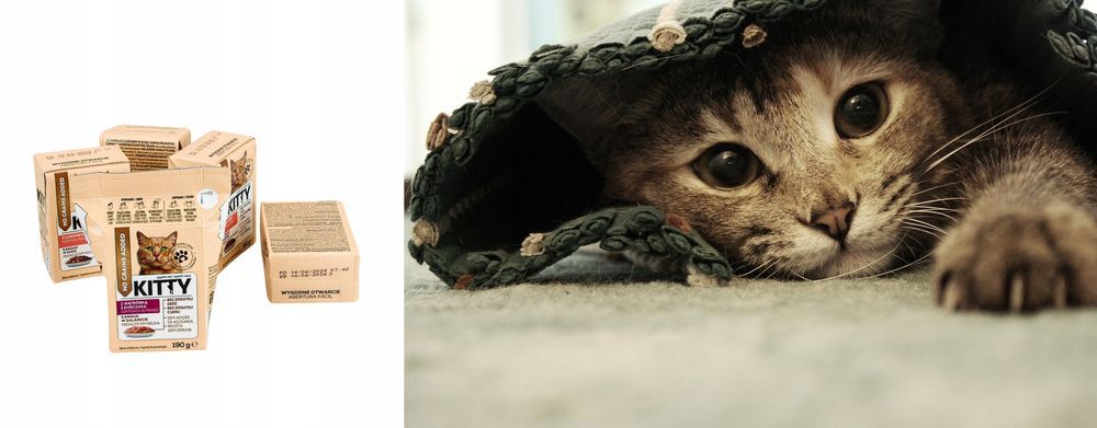 14 X 190G Karma Mokra Dla Kotów Kitty Mix Smaków Bez Zbóż 2,66 Kg