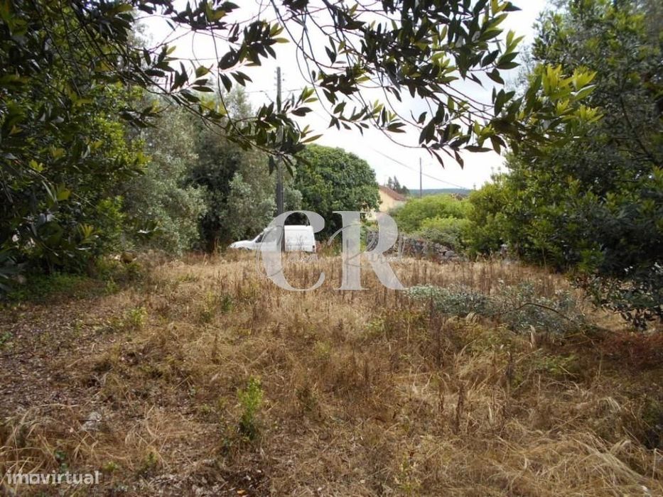 Terreno com capacidade para construção próximo de Santiago da Guarda-A