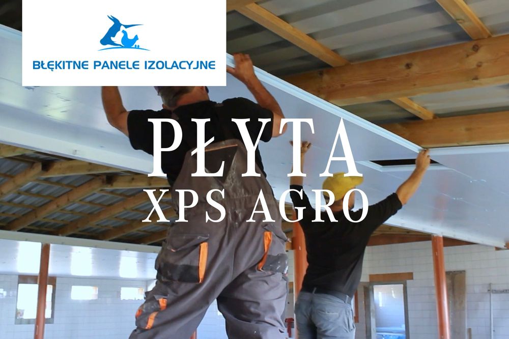 Izolacja Styrodur XPS AGRO Ocieplenie Obory Kurnika Tuczarni Chlewni