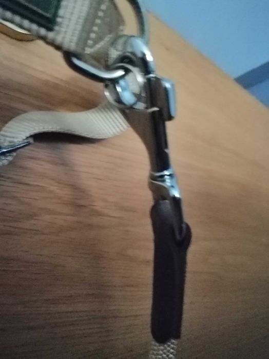 Coleira L e trela Hunter Novas (ver fotos e descrição)