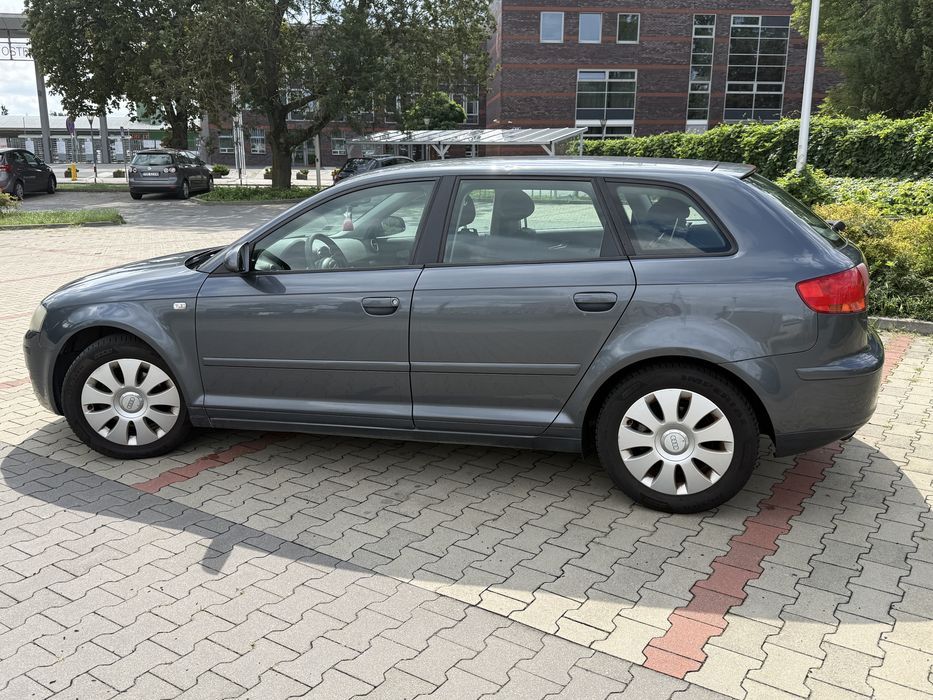 Audi A3 Sportback  A3 8P 2007 1.9 TDI 105km