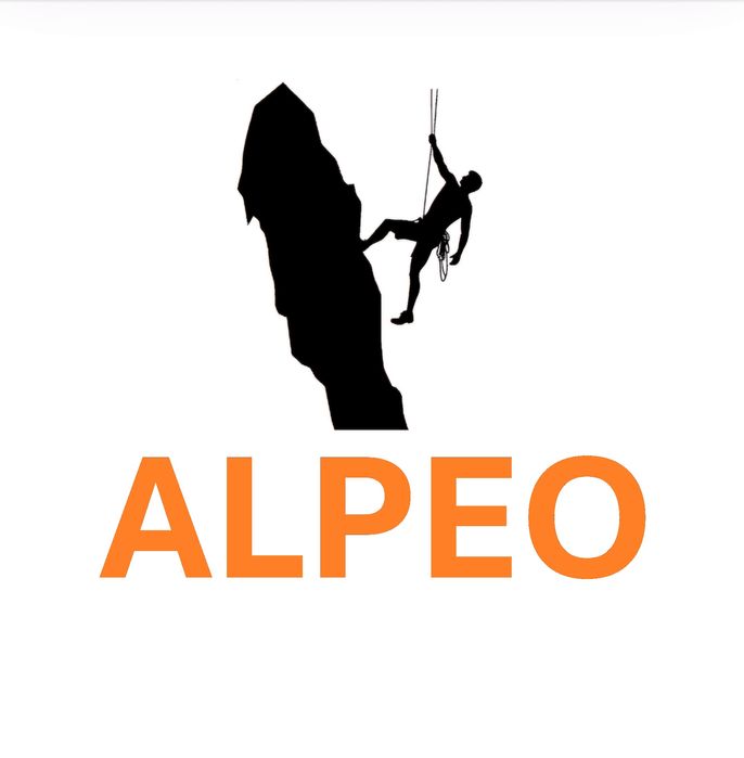 Wycinka Drzew Trudnych Sprzątnie Działek Cała Małopolska Szybki Termin