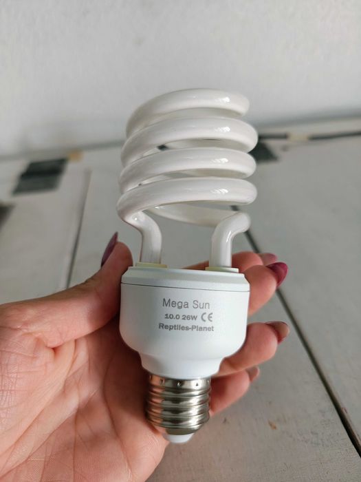 Lâmpada UVB 10.0 e Comida Sera