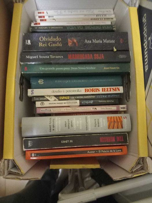 Lote 31 (Pt2) - LIVROS Diversos - Vendidos EM SEPARADO - Vários Preços