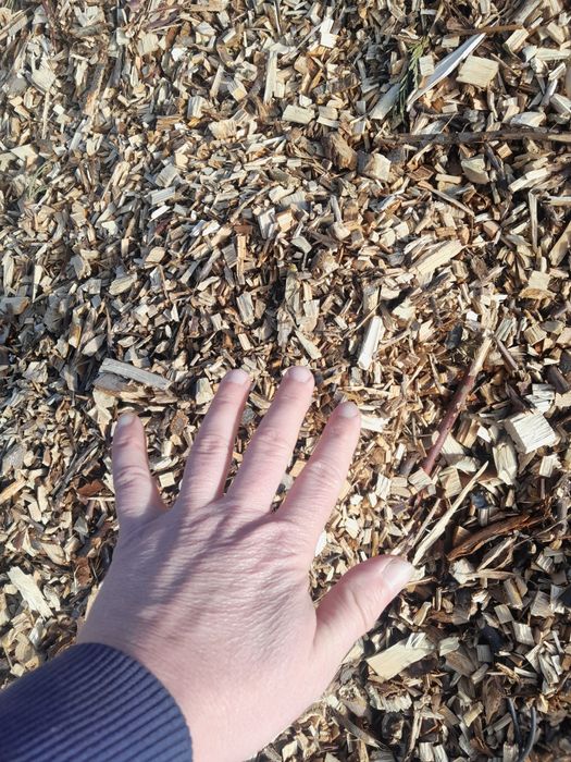 Zrębka drzew liściastych, worki zrebki, do ściółkowania na rabaty.