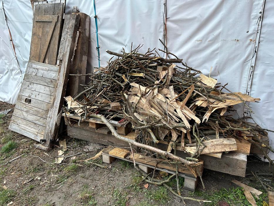 Drewno na opał oddam