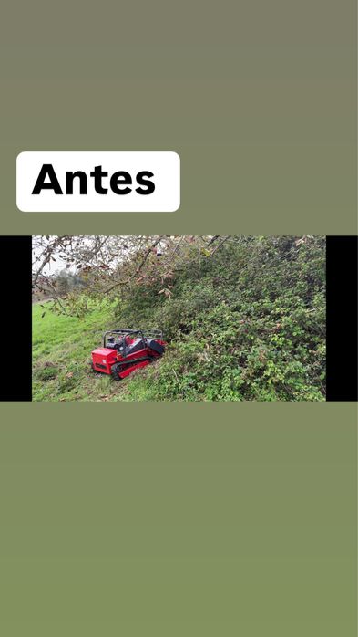 Limpeza de terrenos / corta mato