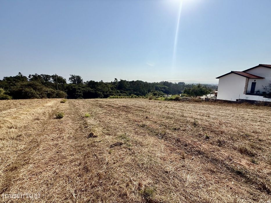 Terreno para construção - Cela Nova, Alcobaça