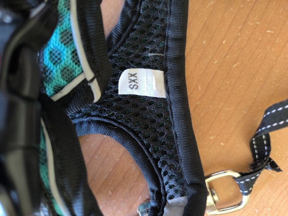 Arnes e trelha extensível