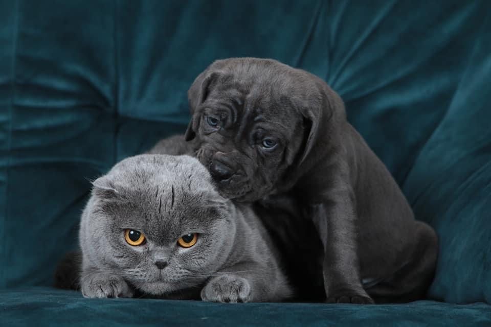 Девочка_Лолита