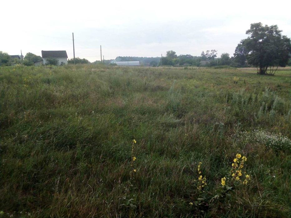 Продам 2 участка в с.Процев.17 соток и 6 соток