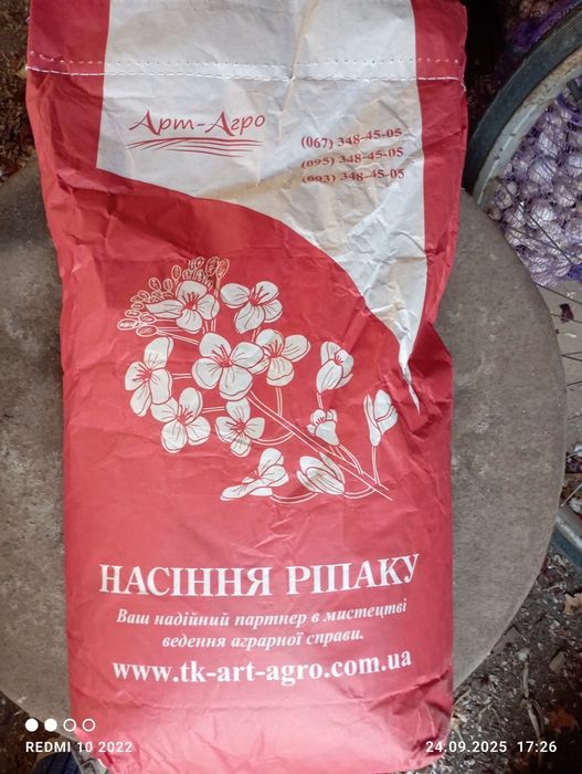 Продам посевной материал рапса Форест.