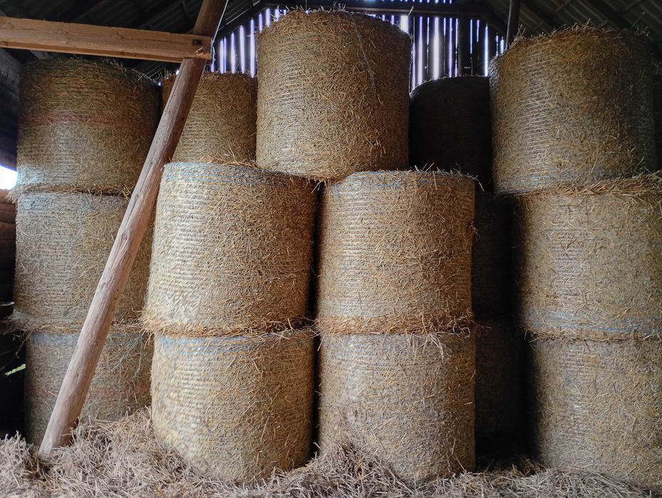 Słoma baloty,ściółka,podłoże,biomasa,opał