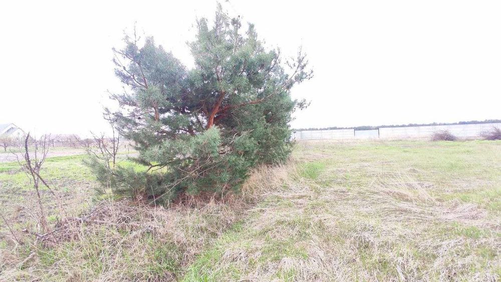 Найкраща пропозиція в с. Лебедівка!