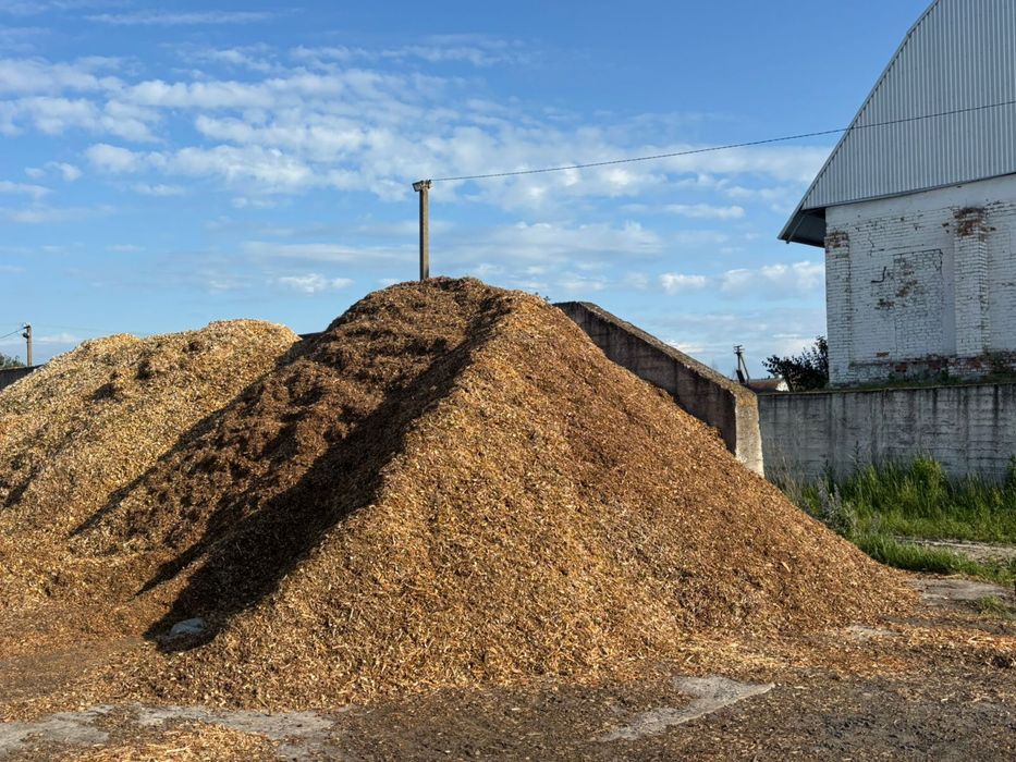 Продам щепу паливна,переважно порода сосна