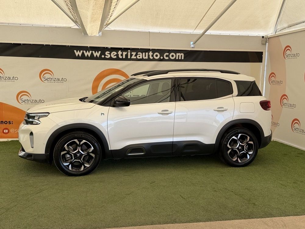 alt