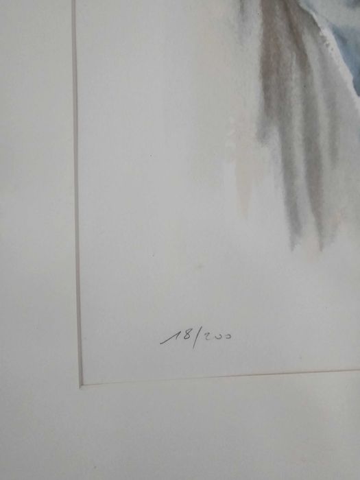 Serigrafia De Cavalo em aquarela de Beatrice Bulteau