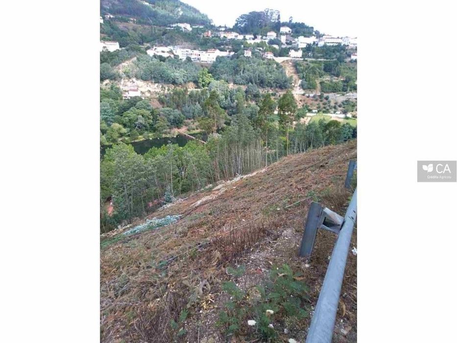Prédio Urbano - Lote de terreno constituido por 5 artigos matriciai...