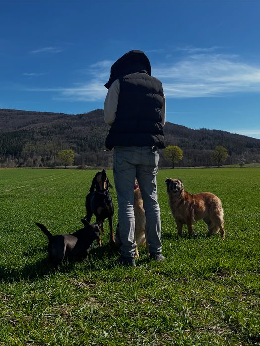 Trener Psów - Behawiorysta - Treningi indywidualne