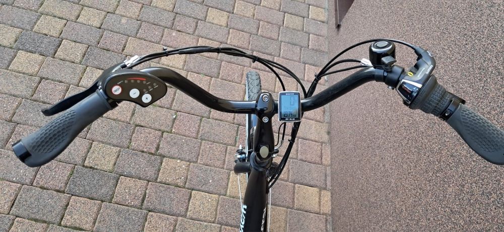 Rower elektryczny Wayscral Everyway E-100