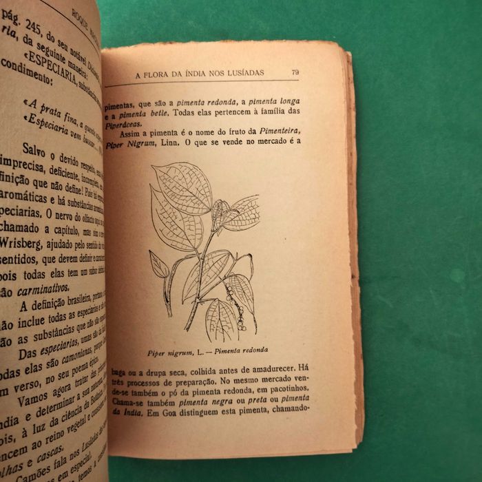 A Flora da Índia nos "Lusíadas" - Roque Machado