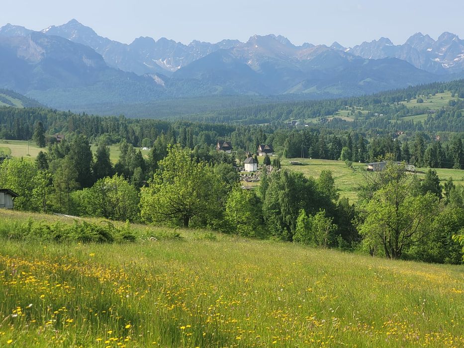 Działka rolna z widokiem na Tatry Góry około 5 arów