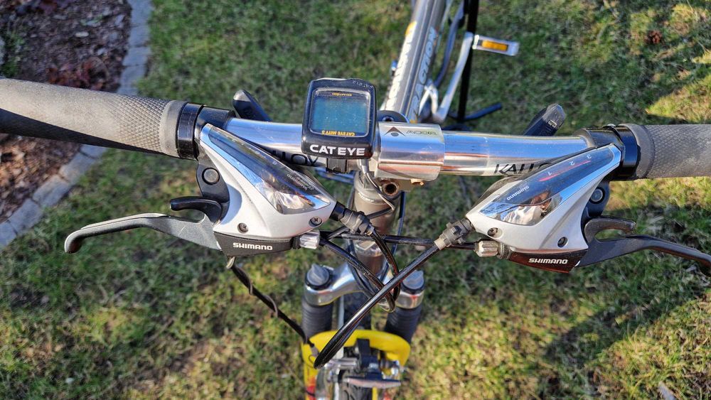 Rower Author Traction