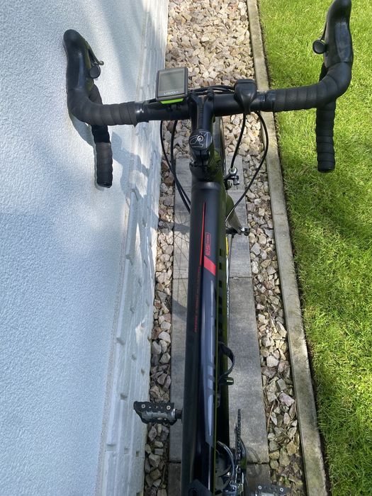 Specialized Allez Campagnolo 56cm. Rower szosowy