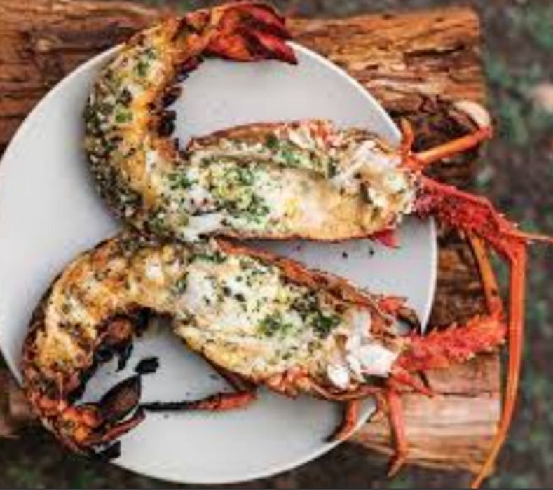 Продам  лобстеров.