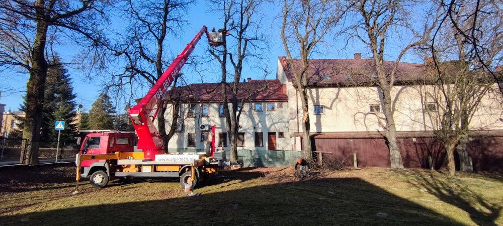 Wycinka, Pielęgnacja Drzew, rebak, frezarka