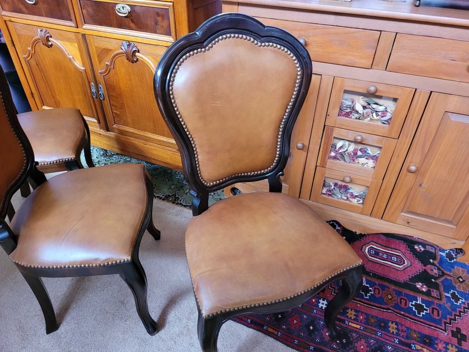 Cadeiras de sala em madeira maciça e pele - óptim