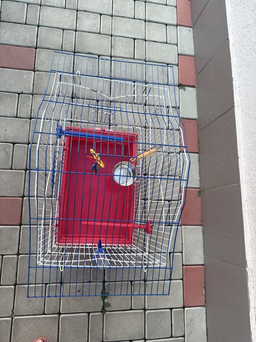 Клітка для папуг