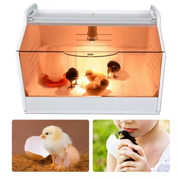 Incubadora

Inclui termómetro
Lâmpada de aquecimento 25w
Comedouro

Me