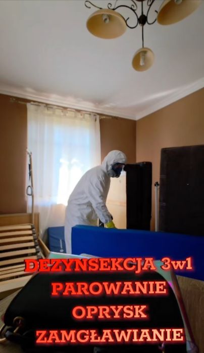 Pluskwy, HOTEL, zwalczanie pluskiew, KARALUCHY, odpluskwianie hoteli