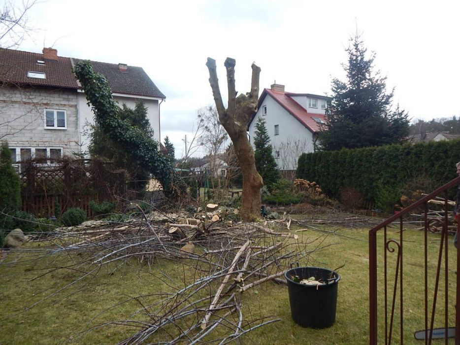 Wycinka drzew,krzewów,przycinanie.TANIO!!!