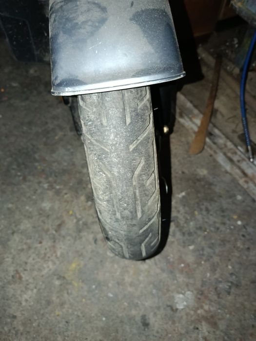 Продам фаду рітмо 2023